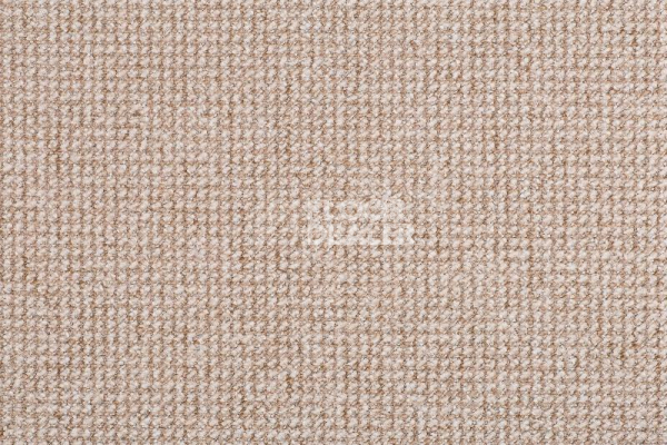 Ковролин Timzo Hercules 1413 фото 1 | FLOORDEALER